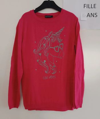 Pull Licorne In extenso 10 ans