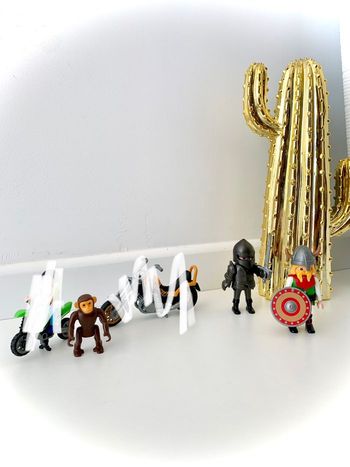 Divers playmobil