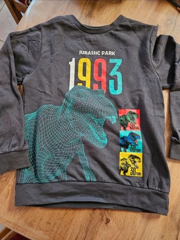 Pull garçon jurassic Park 10 ans neuf