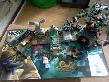 Lego 70420