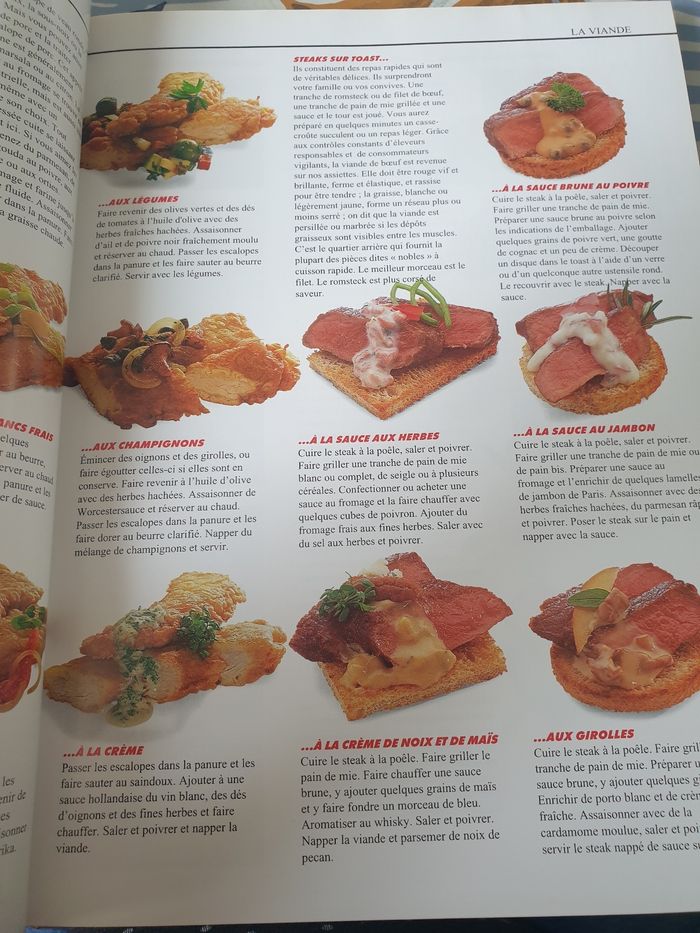 Amuse-gueules et canapés  les plaisirs de la table - photo numéro 6