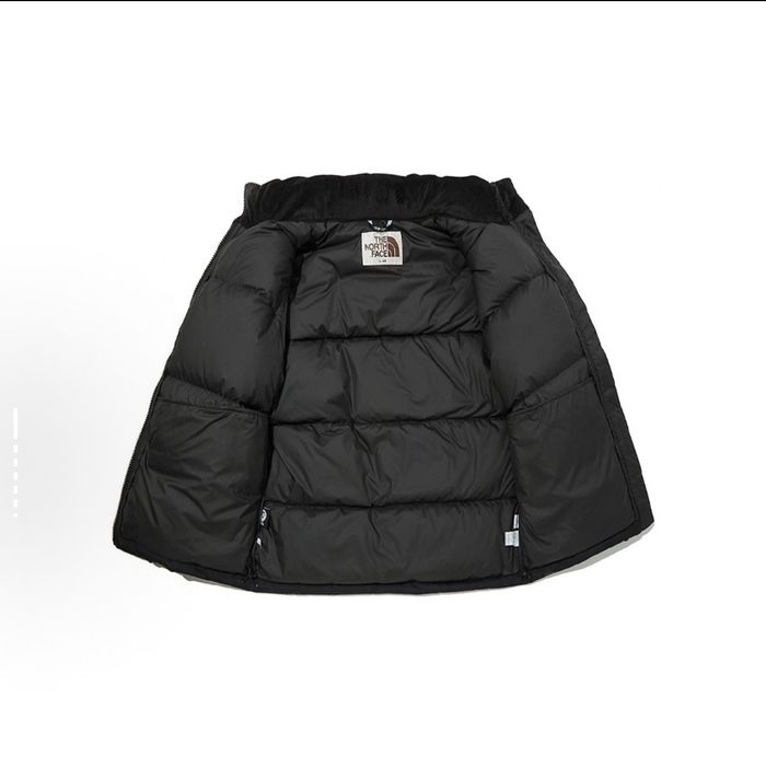 Veste à capuche chaude et rembourrée THE NORTH FACE, couleur unie, logo