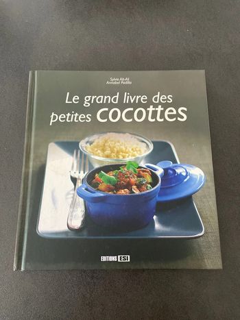 Livre recette recettes mini cocottes cuisine