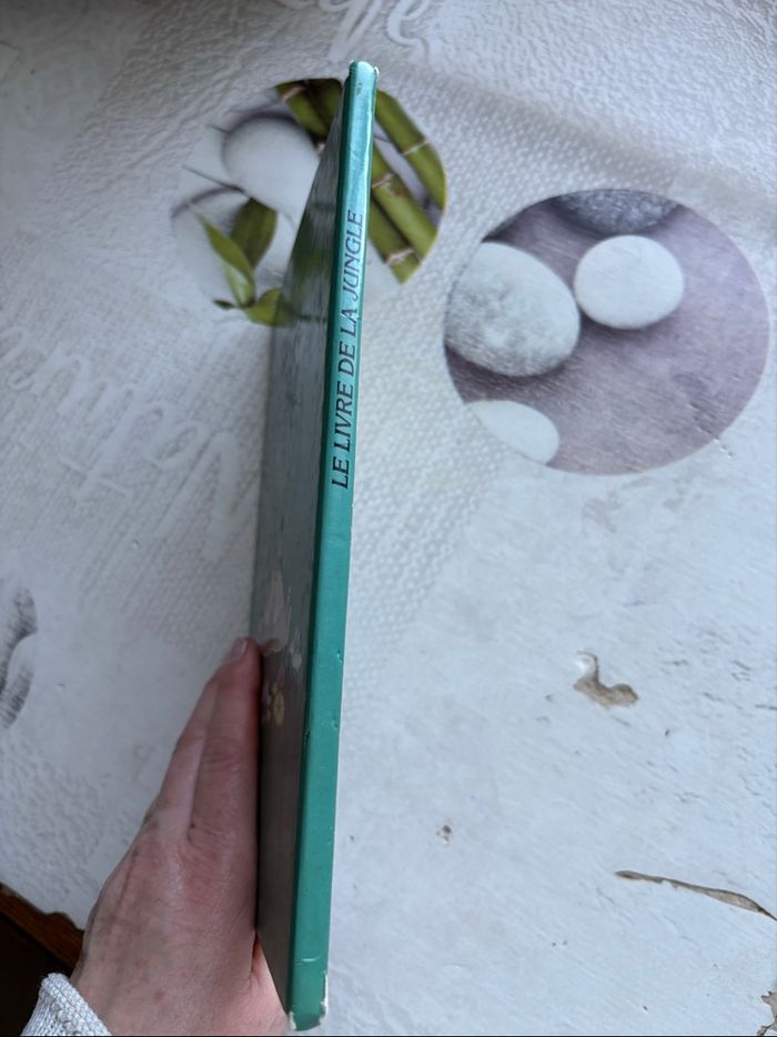 Livre Disney - photo numéro 6