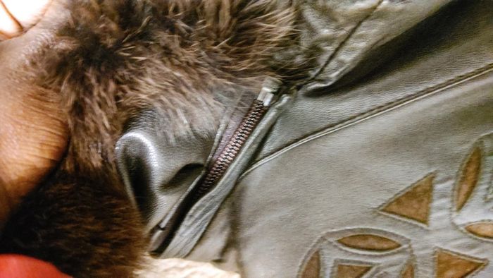 Manteau vintage en cuir Au Renard vintage hiver très chaud - photo numéro 16