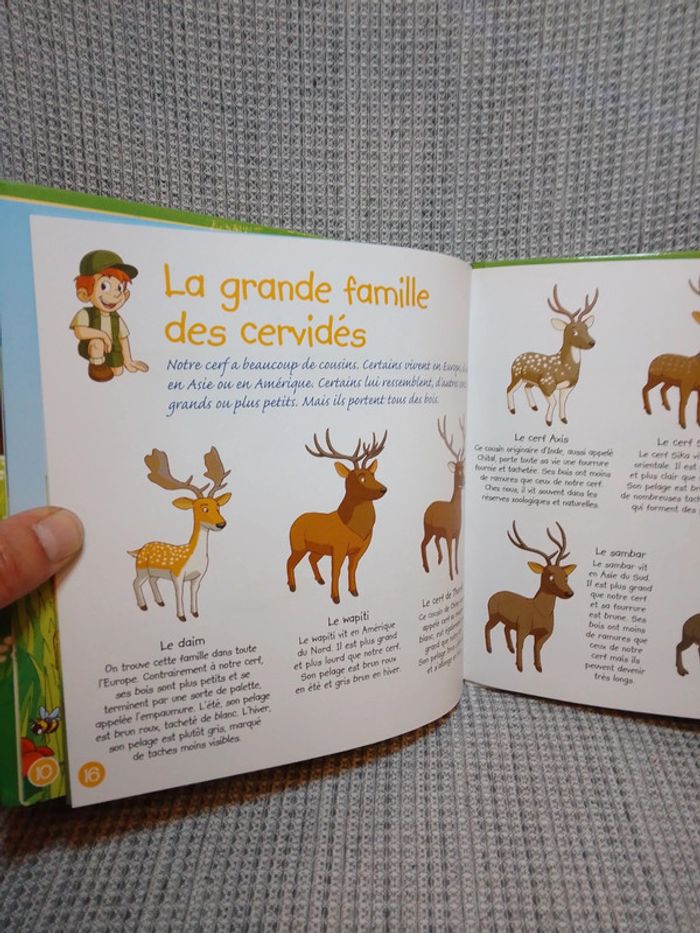 Le cerf + 2 figurines - série "Je vis dans la forêt" N.1 / Ed. Altaya - photo numéro 10