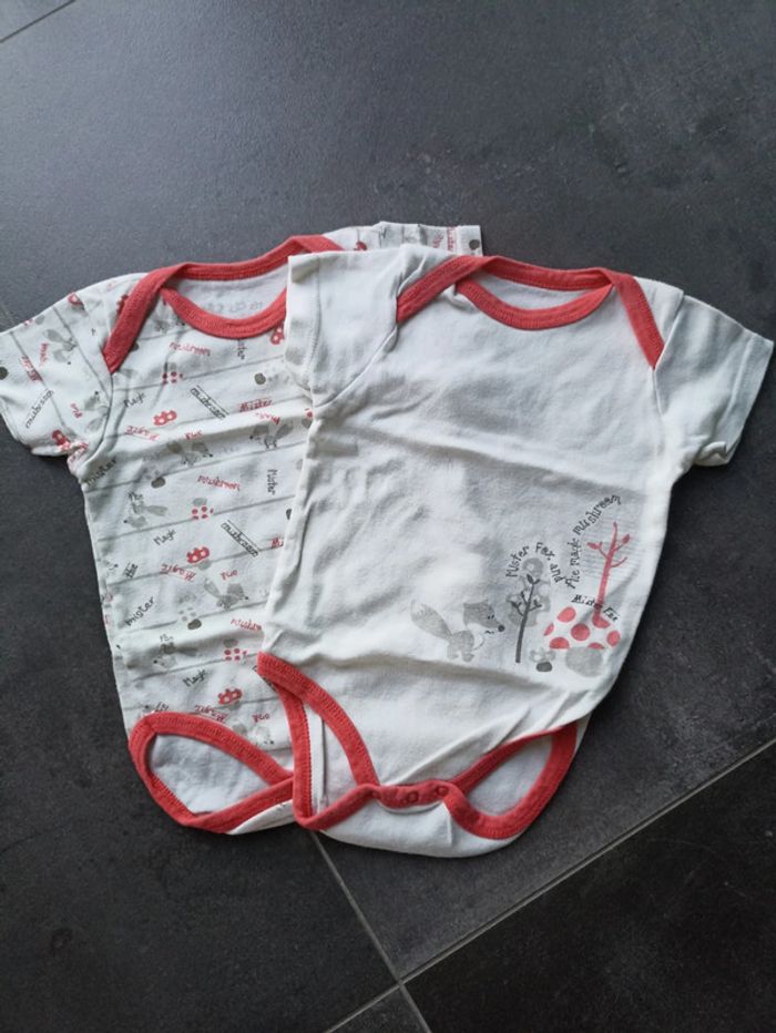 Lot de 2 bodies Taille 9 mois