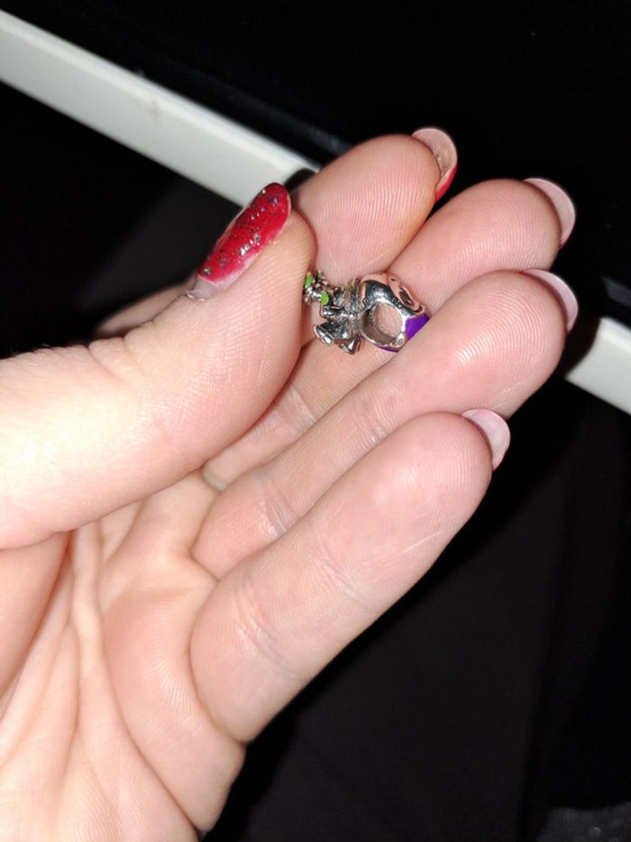 Accessoire - photo numéro 4