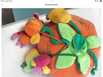 Citrouille en peluche orange toute rigolotte avec ses petits amis dedans 