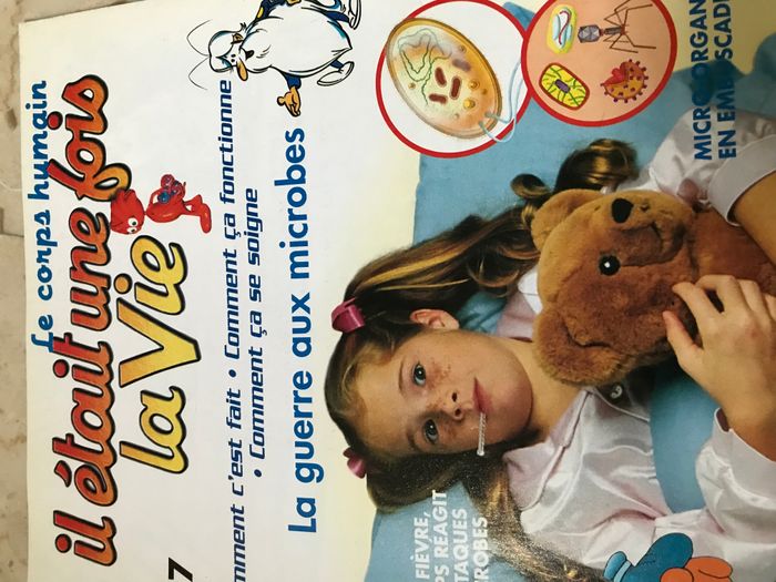 Il était une fois la Vie n° 31-32-33 et 37 - photo numéro 5