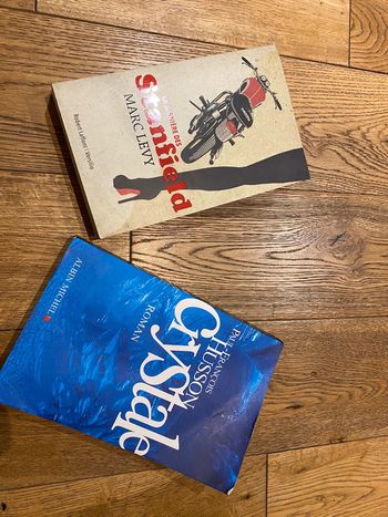 Lot de 2 livres Lévy/ Husson grands formats