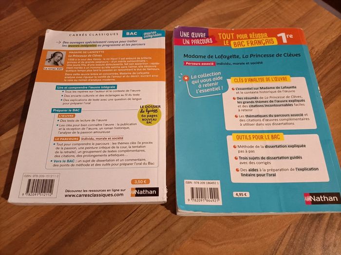 Livres la princesse de Clèves de Lafayette - photo numéro 4