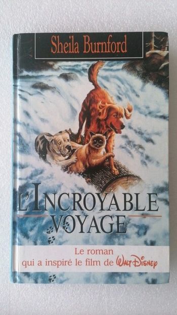 L'incroyable voyage