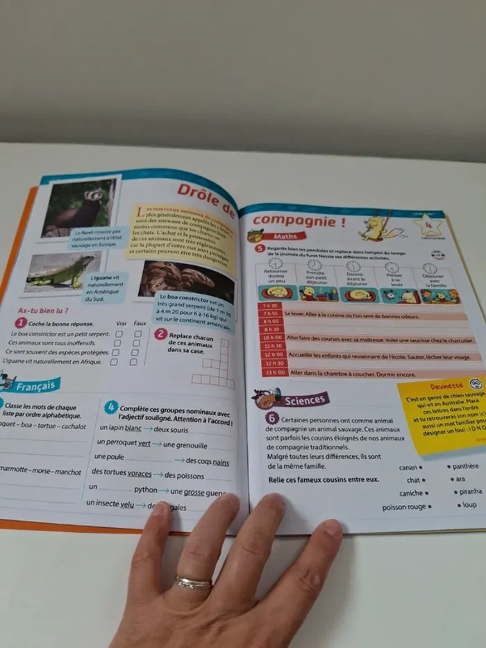 Cahier de vacances du CE1 au CE2 - photo numéro 2