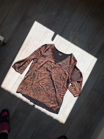 Blouse zèbrè