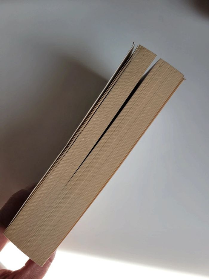 📕 Les intéressants de Meg Wolitzer - photo numéro 4