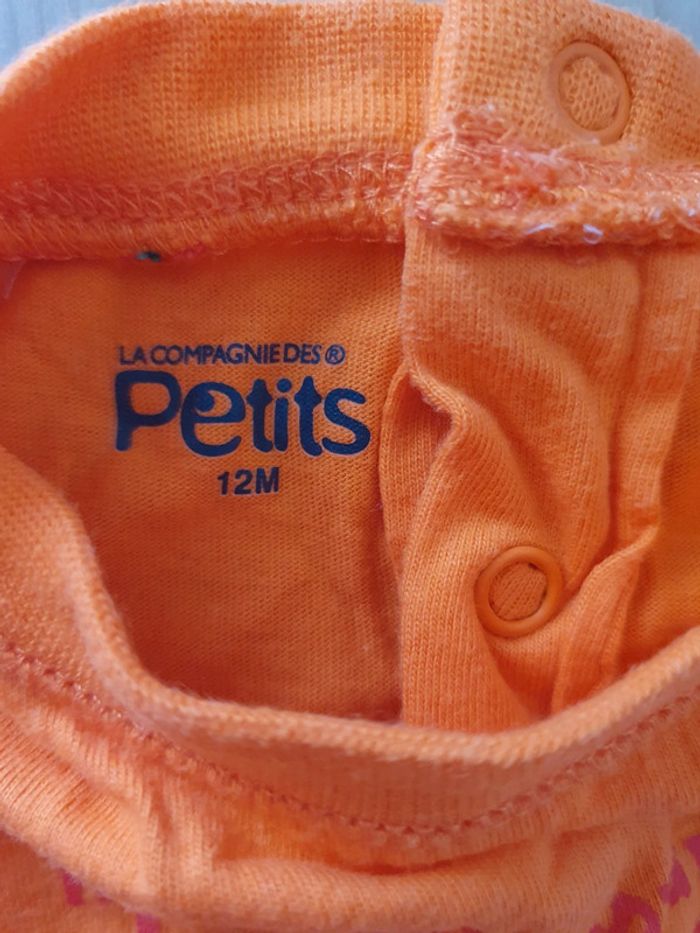 Tshirts 12 mois - photo numéro 6