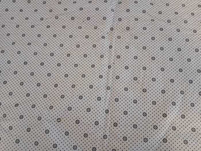 Tapis dinosaures - photo numéro 4