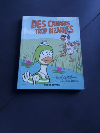 Livre des canards trop bizarres
