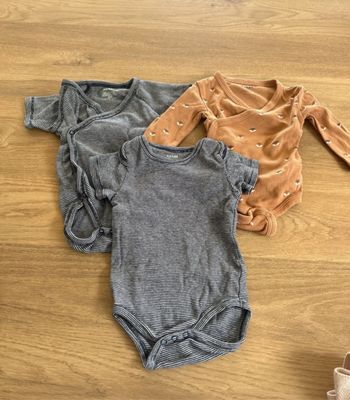 Lot body