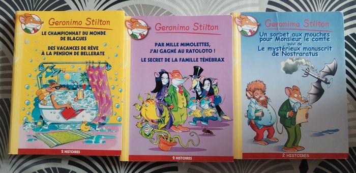 Gros livre geronimo stilton
