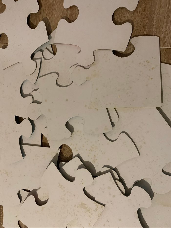Puzzle de sol 24 pièces notre monde - photo numéro 6