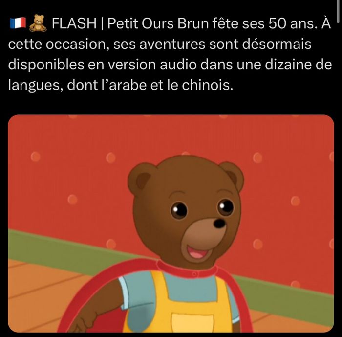 Lot de 4 protections acrylique pour ETB - photo numéro 6