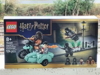Lego Harry Potter hagrid et Harry s'échappent de privet drive 