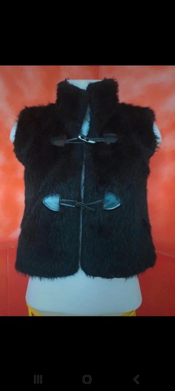 Veste  fausse fourrure sans manche courte de chez Zara