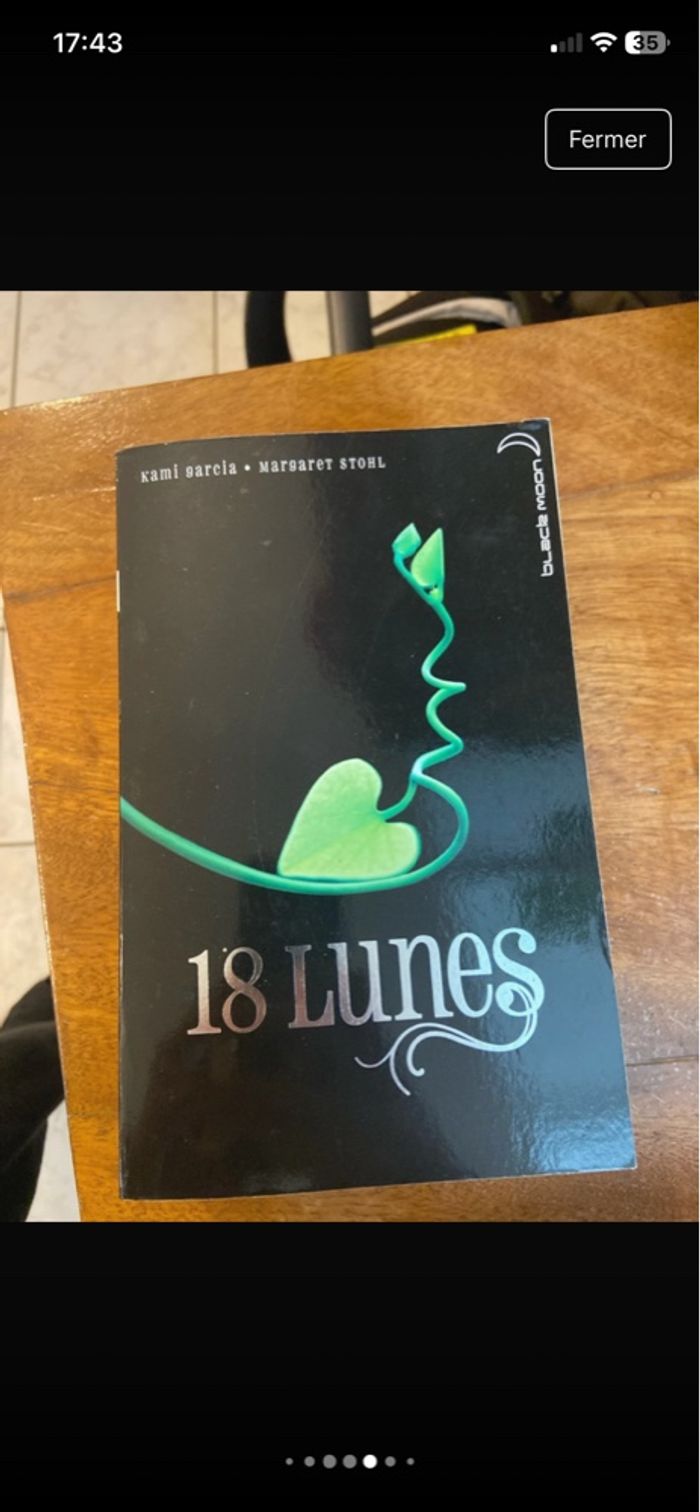 Lots 4 livres Lunes - photo numéro 6