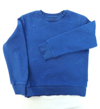 Pull garçon avec dinosaures - 6 ans