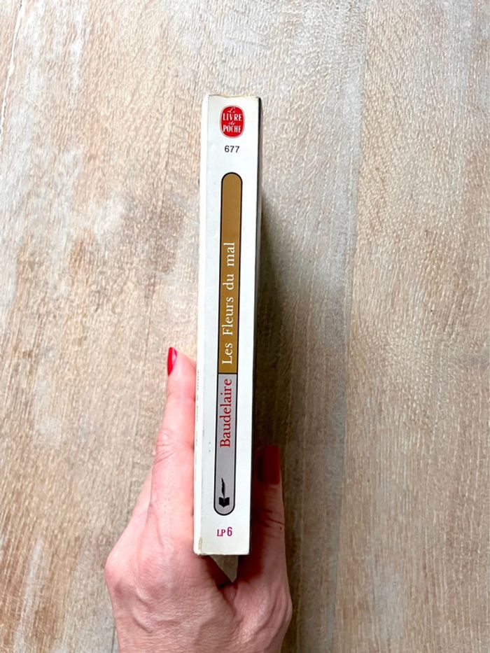 Les Fleurs du mal de Baudelaire – Le Livre de poche – texte intégral - photo numéro 3