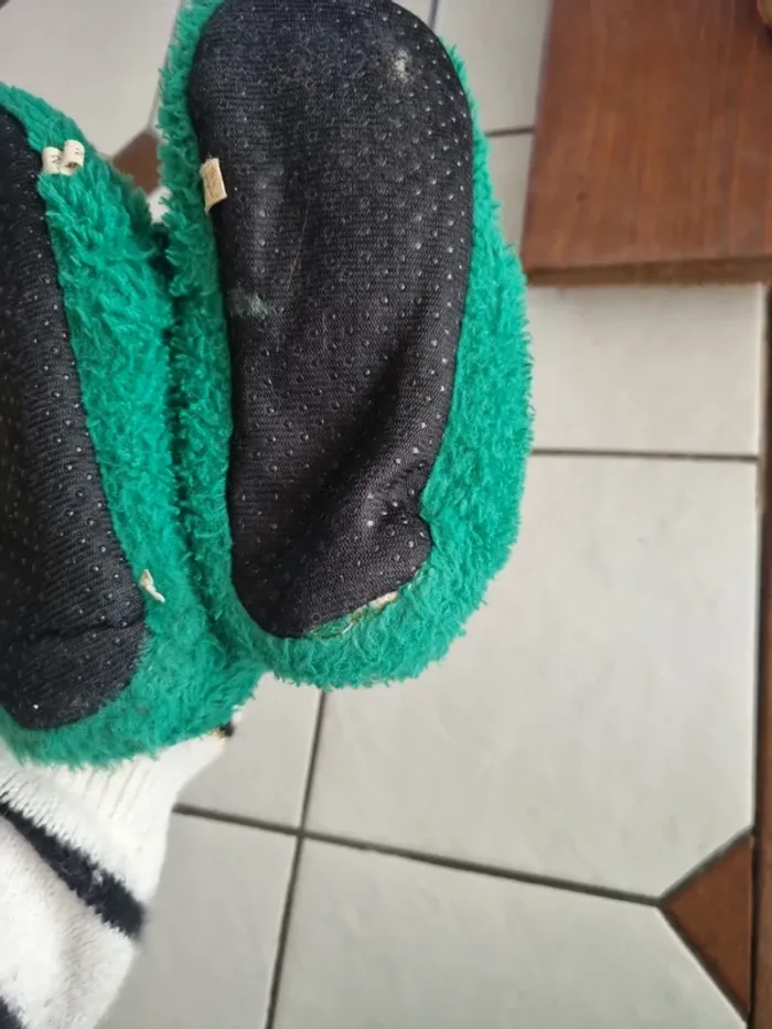 Chausson crocodile 🐊 - photo numéro 5
