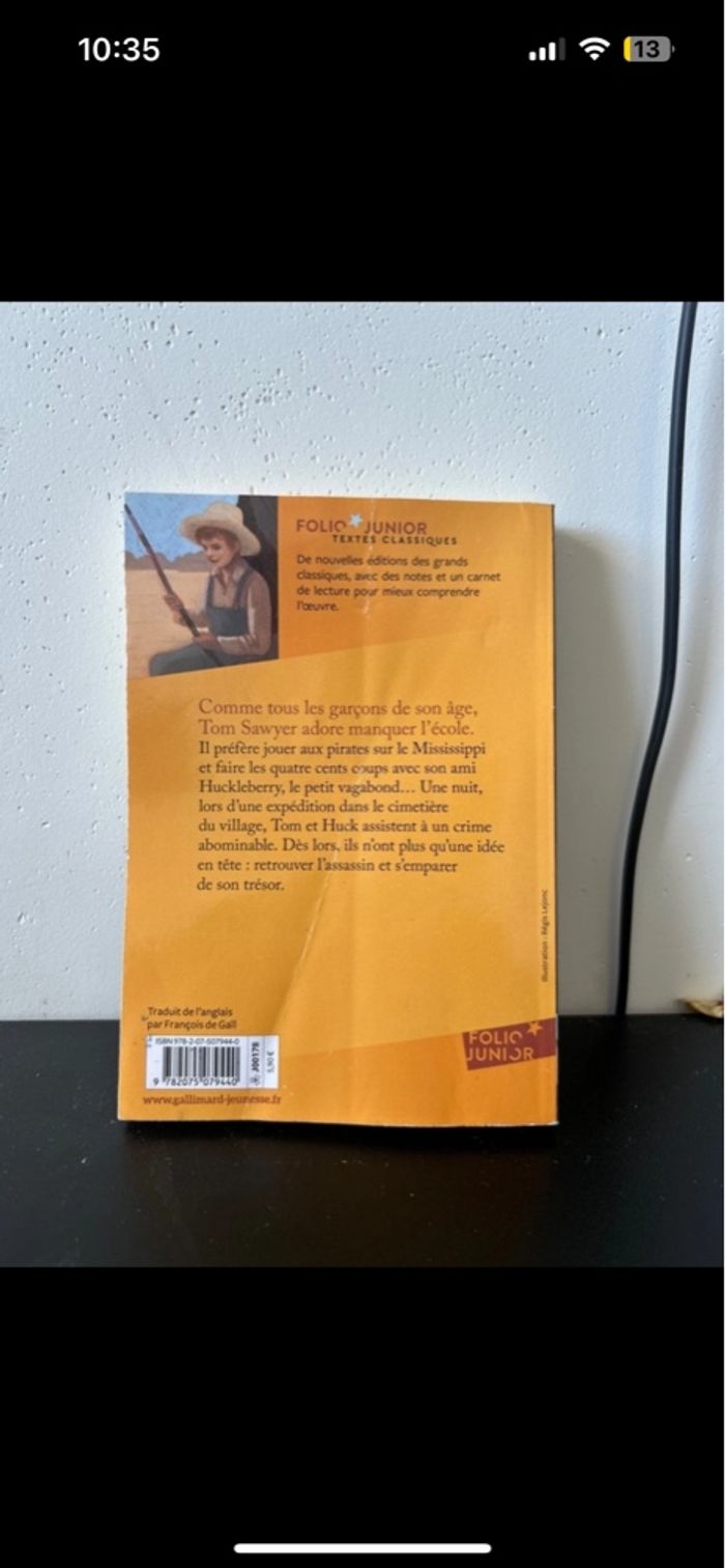 Les aventures de Tom Sawyer - photo numéro 2