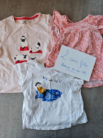 Lot 3 t-shirt fille manches courtes