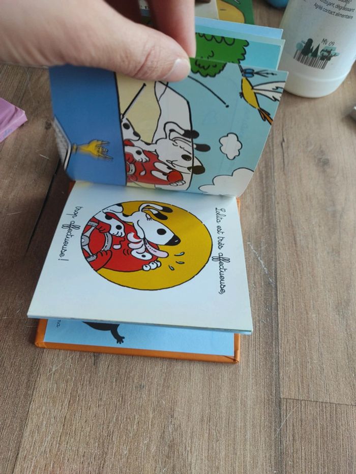 Lot de 2 minis livres Barbapapa - photo numéro 13