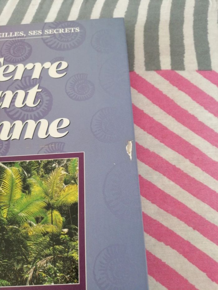 La terre avant l homme - photo numéro 2