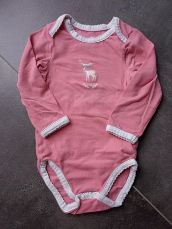 Lot 3 bodies 🦌 T71