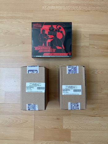 Case  24x blister EV10 scellage Pokémon company officiel.