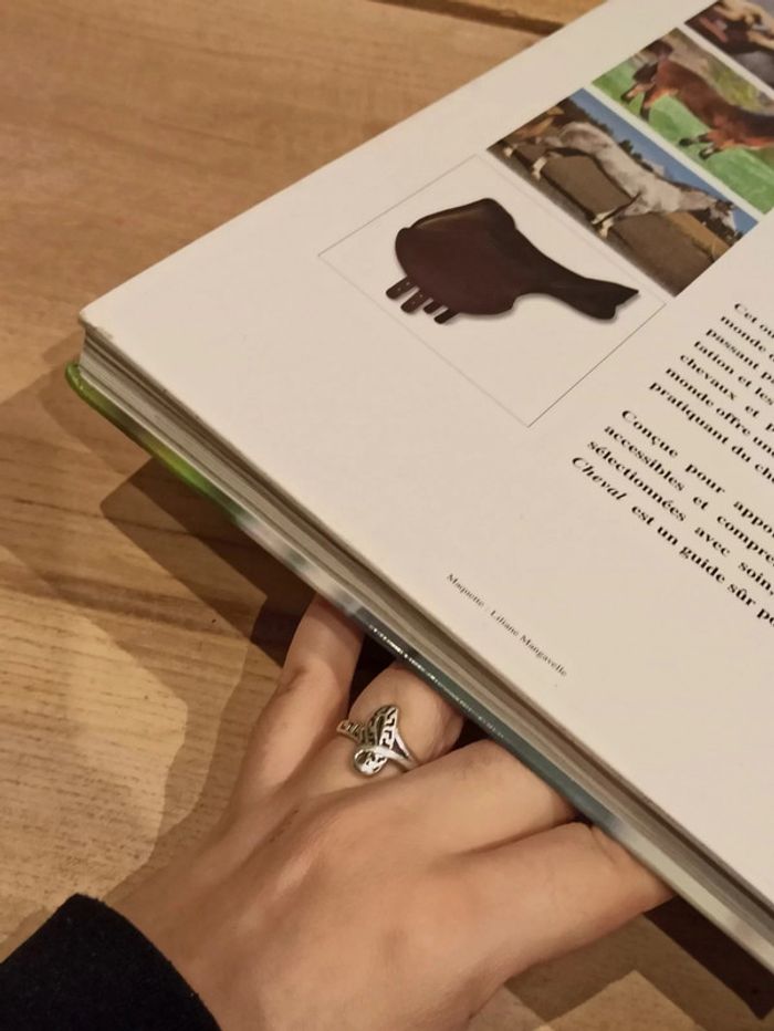 L'encyclopédie pratique du cheval - photo numéro 4