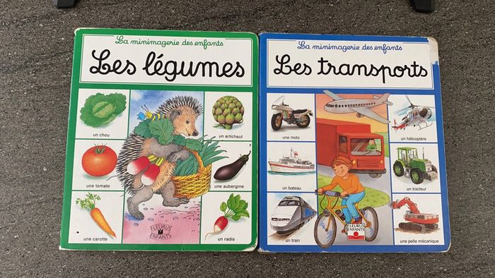 Lot de 2 livres imagiers