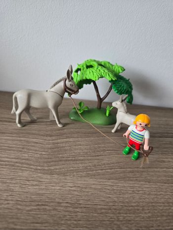 Petit lot de playmobil les ânes