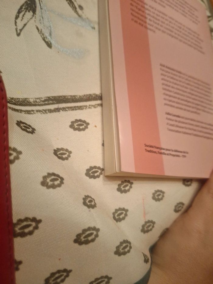 2023le processus synodal une boîte de pandore 100 questions réponses - photo numéro 6