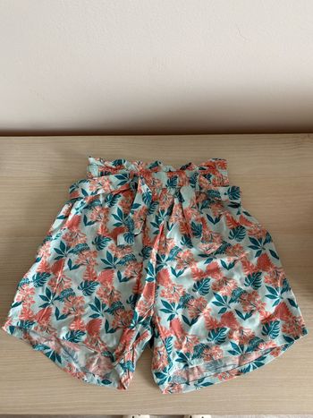 Short fluide 