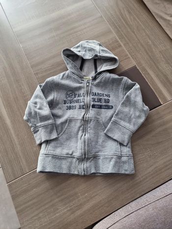 Veste