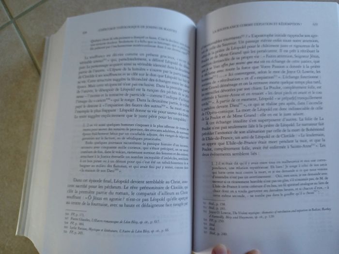L'héritage théologique de Joseph de Maistre (Louise Durieux) - photo numéro 8