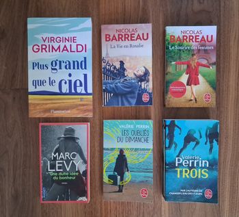 Lot de 6 romans dont 2 de Valérie Perrin 