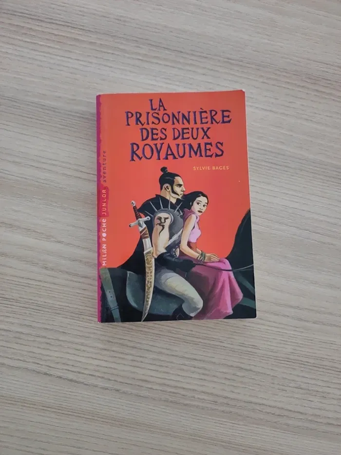 Livre la prisonnière des deux royaumes
