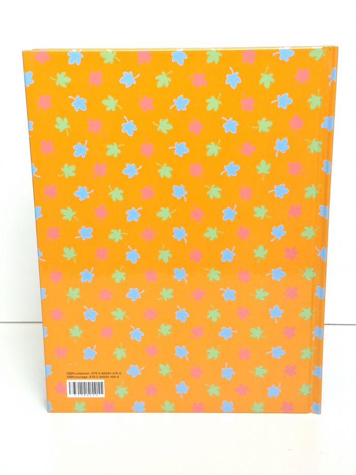 Livre Disney Winnie l'ourson 100, ça ressemble à quoi ? - photo numéro 3