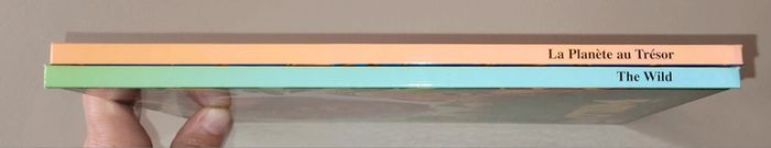Lot de 2 livres disney the wild et la planète au trésor - photo numéro 3